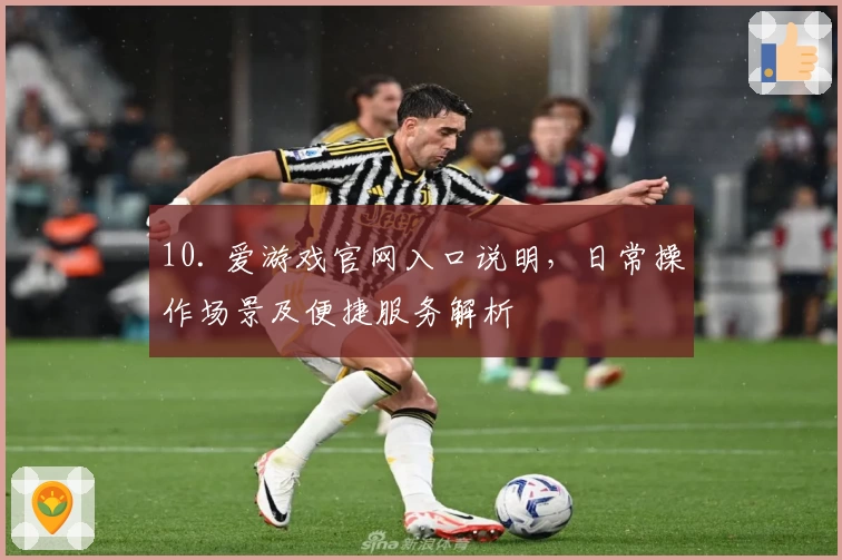 10. 爱游戏官网入口说明，日常操作场景及便捷服务解析