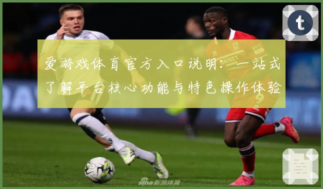 爱游戏体育官方入口说明：一站式了解平台核心功能与特色操作体验